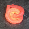 adrianww's Avatar
